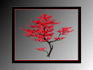 Natural Red Art Work